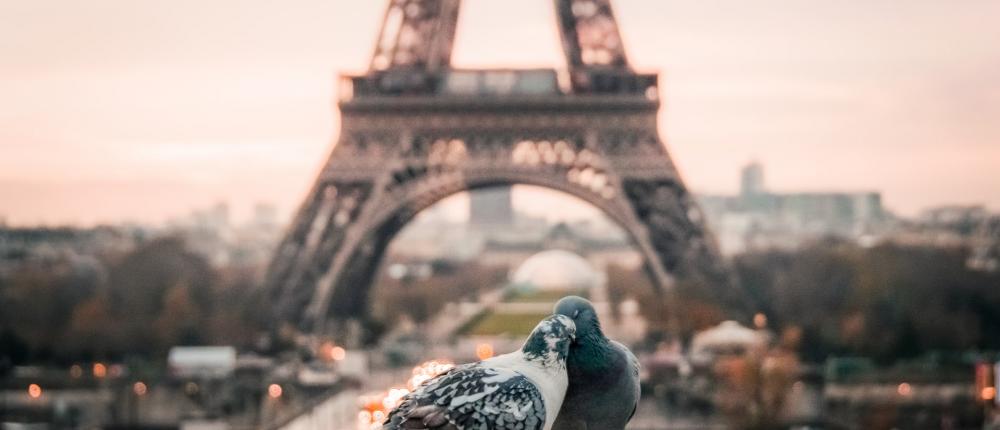 More than ever, it’s romantic Paris for Valentine's Day