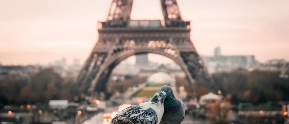 Plus que jamais, Paris romantique pour la Saint-Valentin