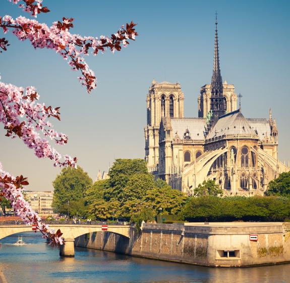 Balades hivernales : flâneries féériques le long de la Seine
